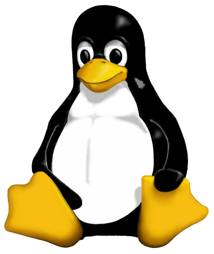 You are currently viewing Linux and Linux Commands for Data Engineers